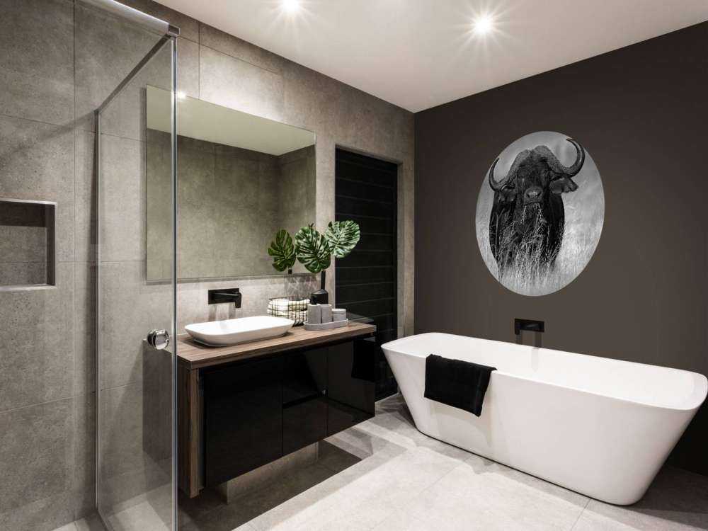 Bawół w czerni i bieli