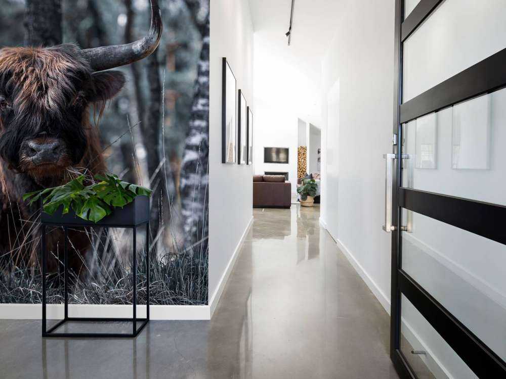 Szkocka rasa wyżynna