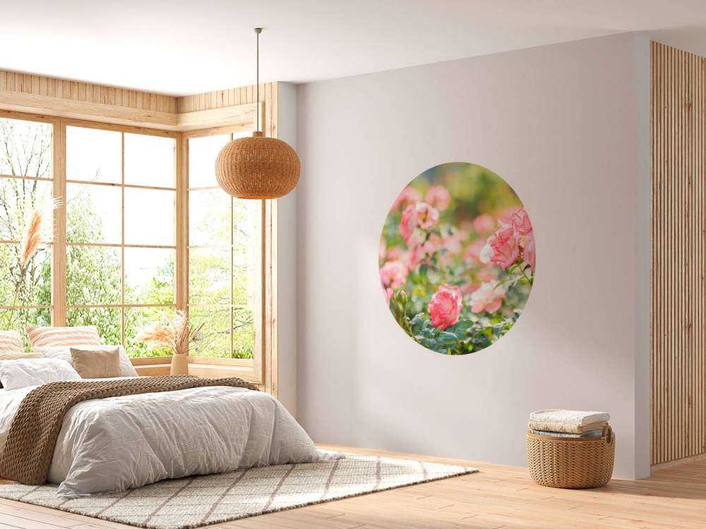 Jasnoróżowy krzew róży