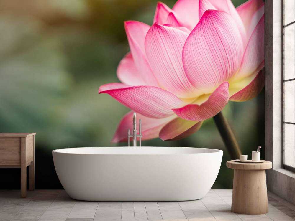 Kwiat lotosu w kolorze zielonym