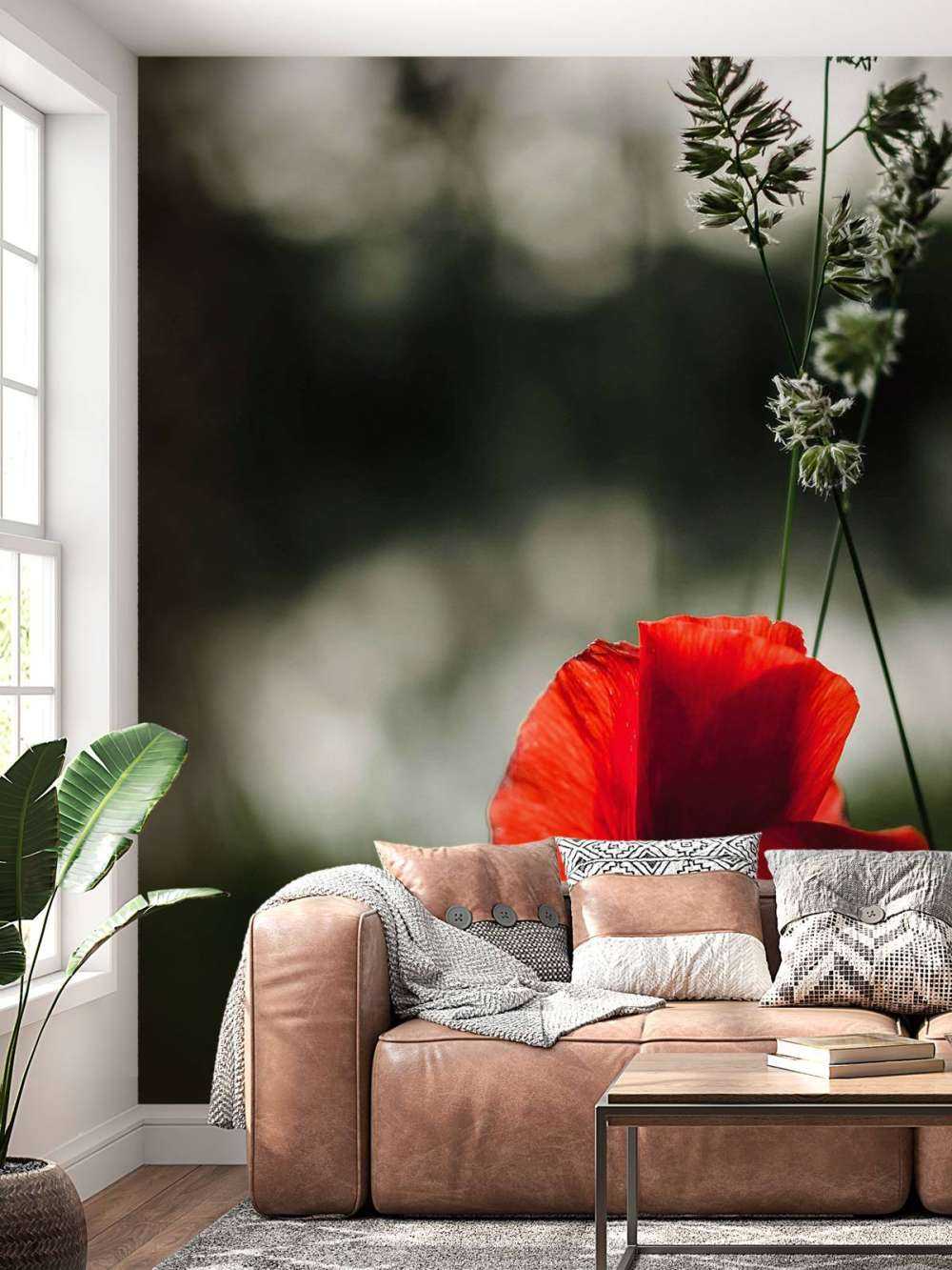 Czerwony mak z trawą