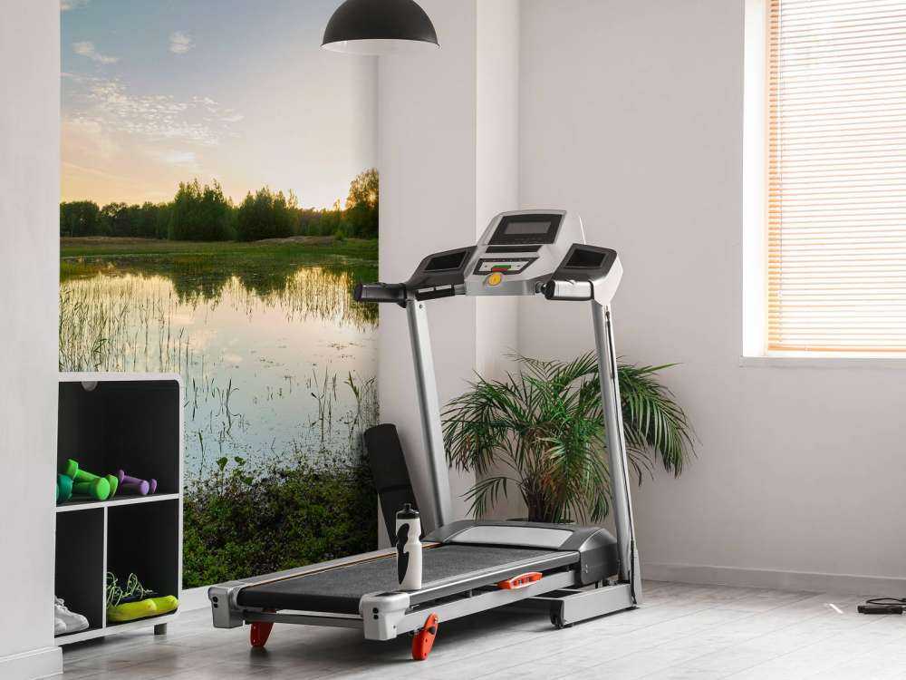 Zachód słońca w lesie