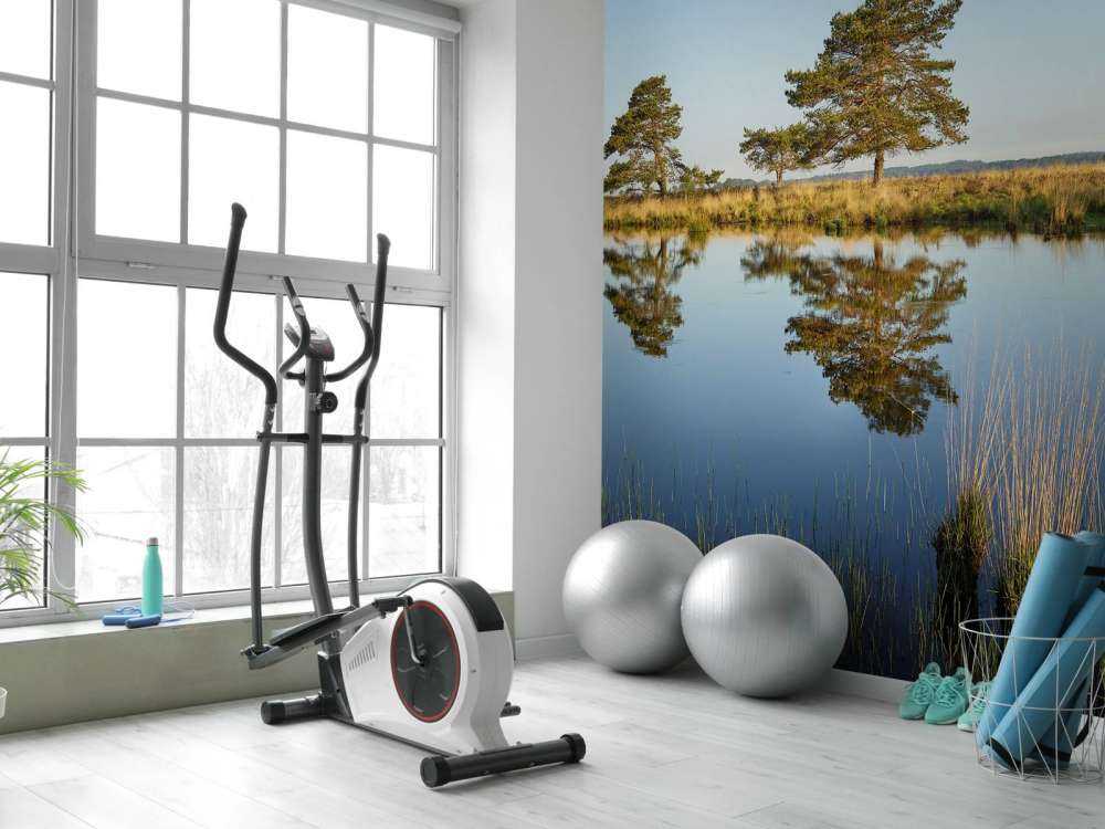 Las na wrzosowiskach