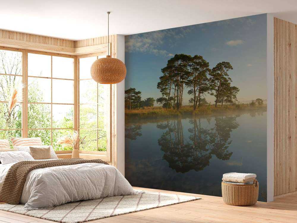 Refleksja na wrzosowiskach