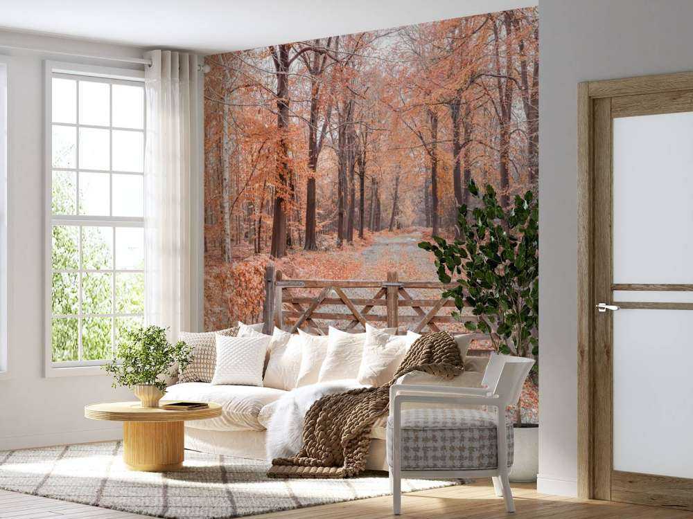 Przejście do jesiennego lasu