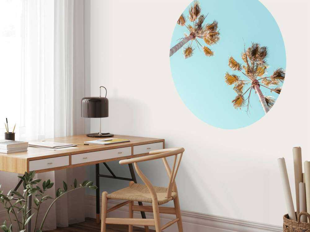 Palmy z niebieskim niebem