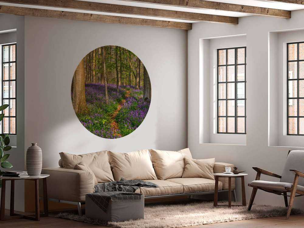 Ścieżka przez las z hiacyntami