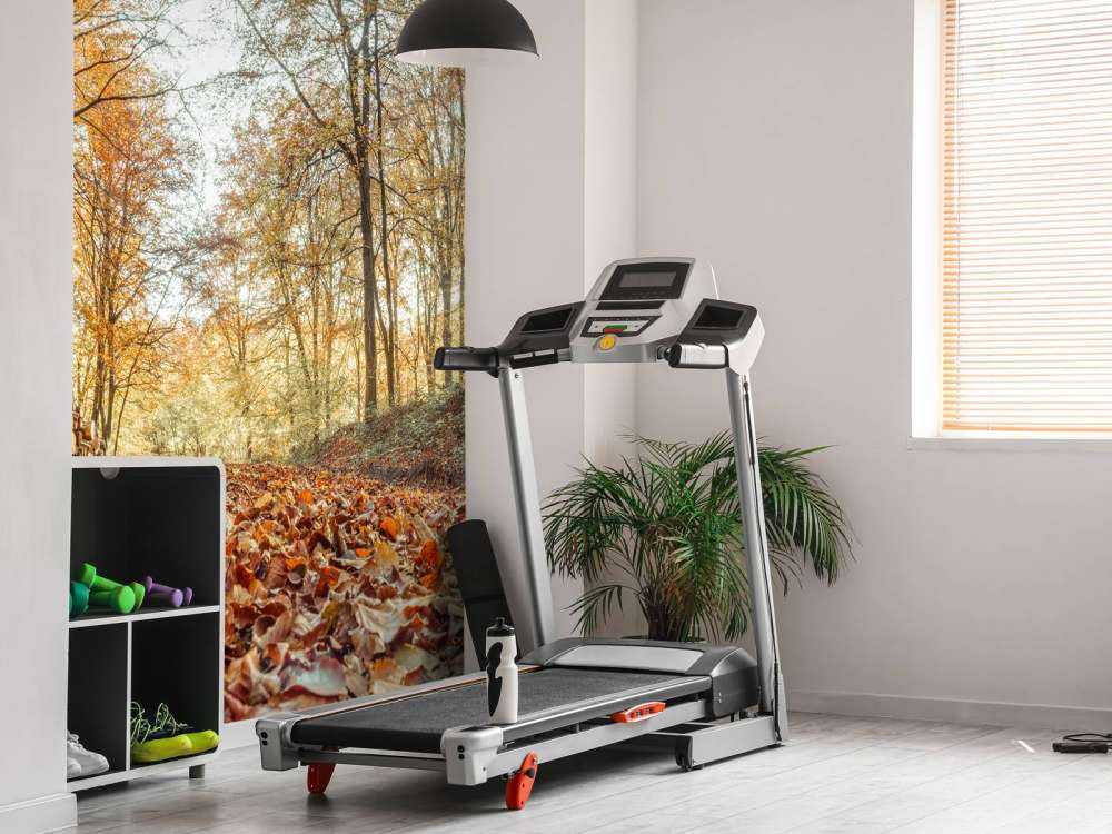 Pnie drzew w jesiennym lesie