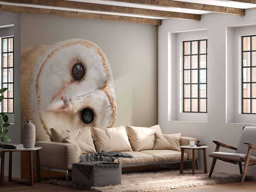 Sowa z przechyloną głową