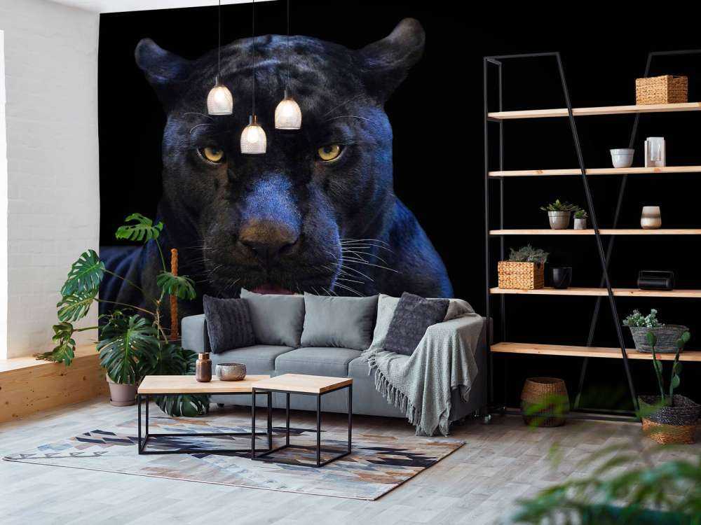 Zbliżenie na panterę