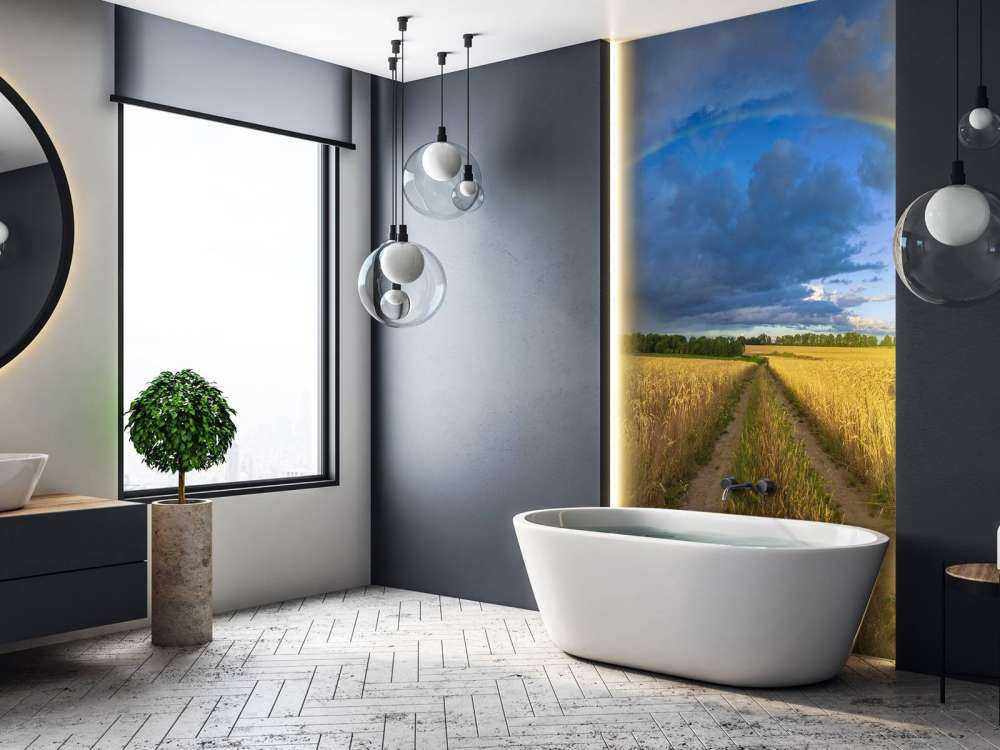 Tęcza nad polem pszenicy