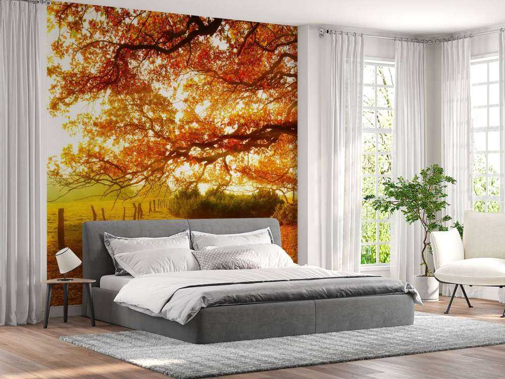 Jesienny krajobraz z lasem i łąką