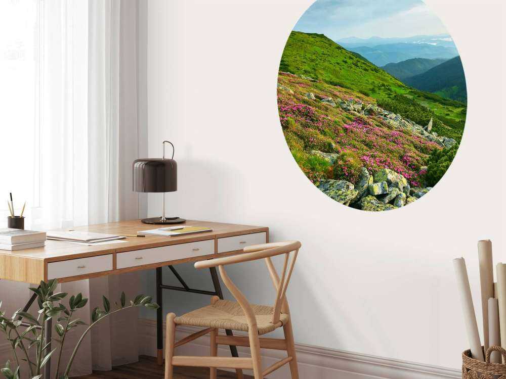 Rododendrony w górach.