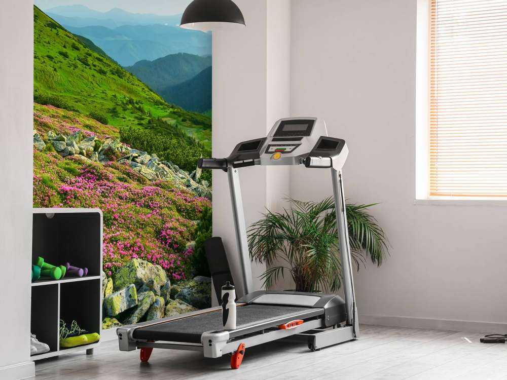 Rododendrony w górach.