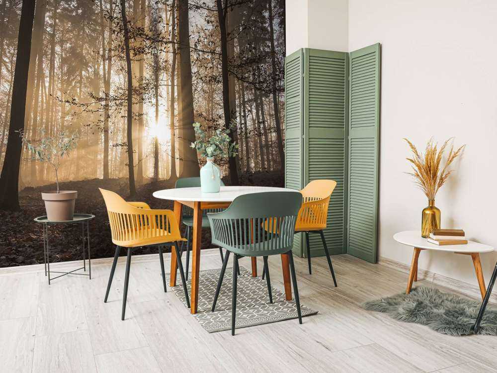 Słońce w mglistym lesie