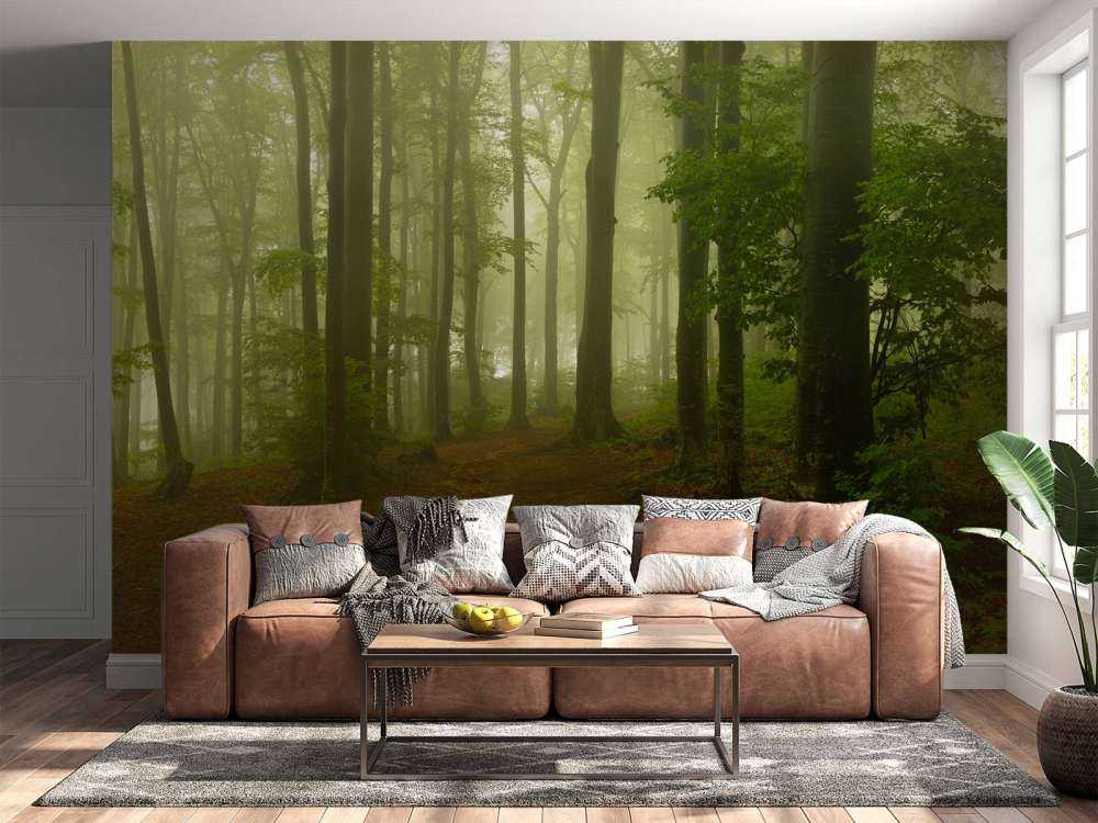 Ścieżka przez mglisty, zielony las