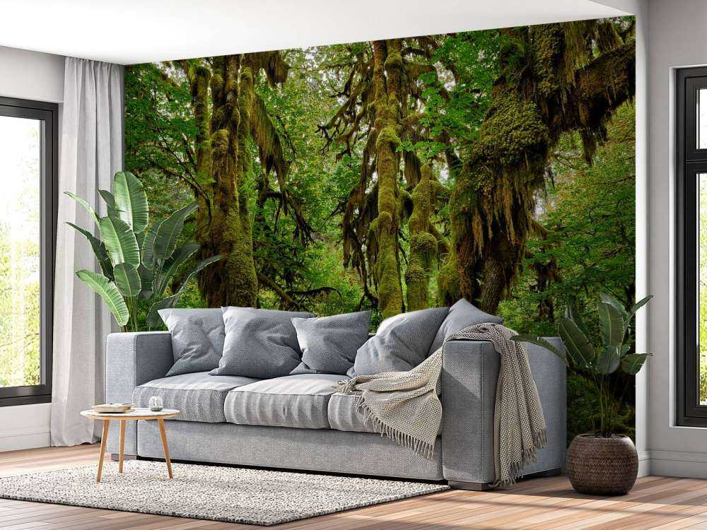 Stary las na pustyni