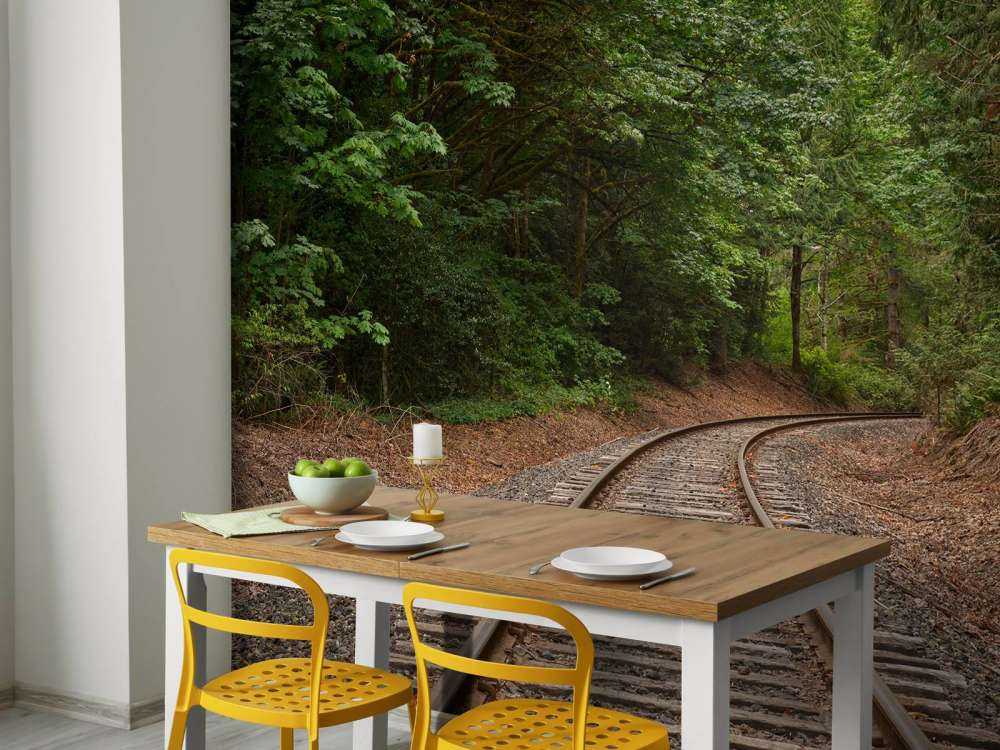 Linia kolejowa przez las