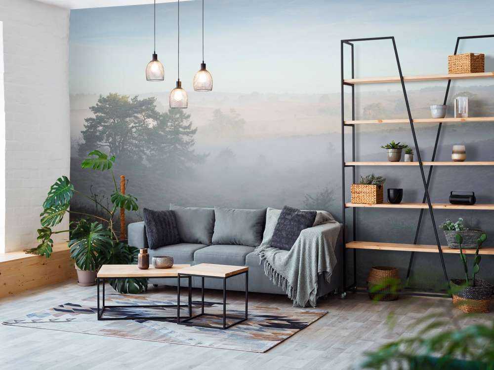 Mgła na wrzosowisku