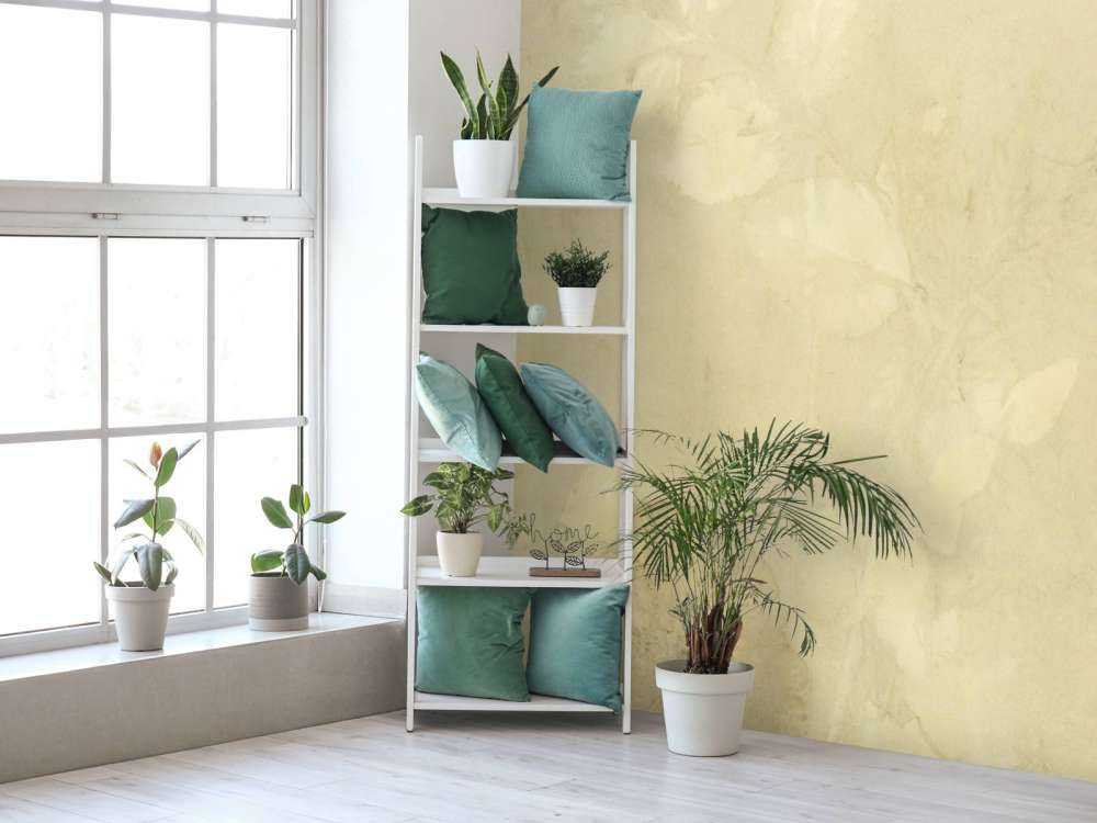 Wegebre i dziki geranium - marzycielska zieleń