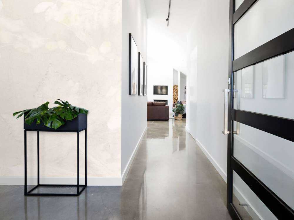 Snieżna jagoda i dzika jeżyna - gra cieni