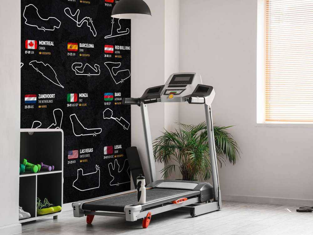 Formuła 1 2024 - Mapa zwycięzców