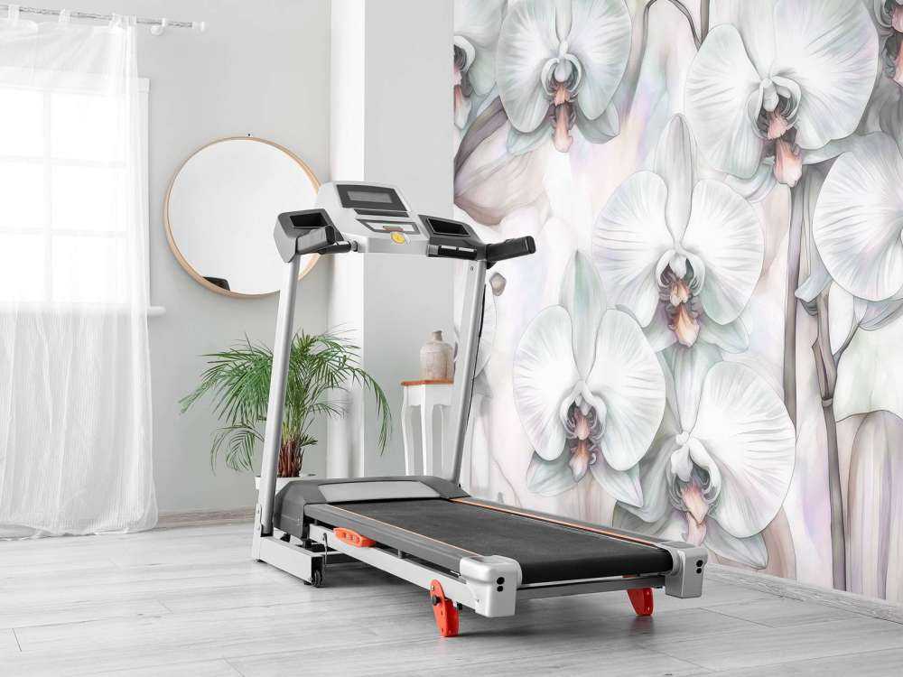 Orchidee Raj Ciemna Zieleń