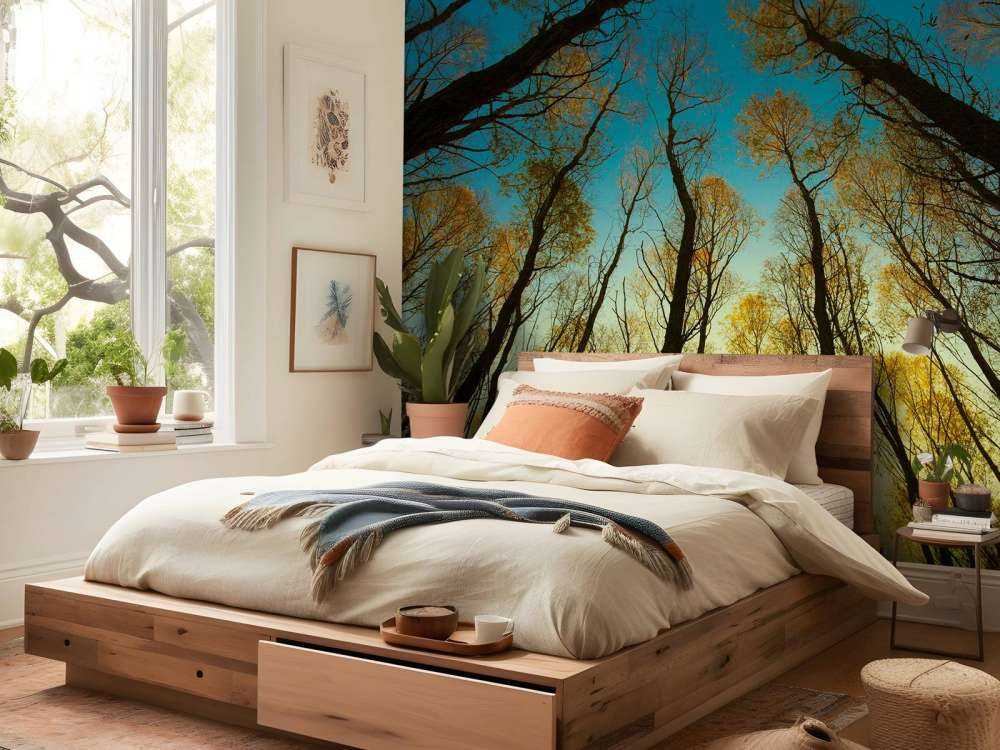 Wschód słońca między wysokimi drzewami