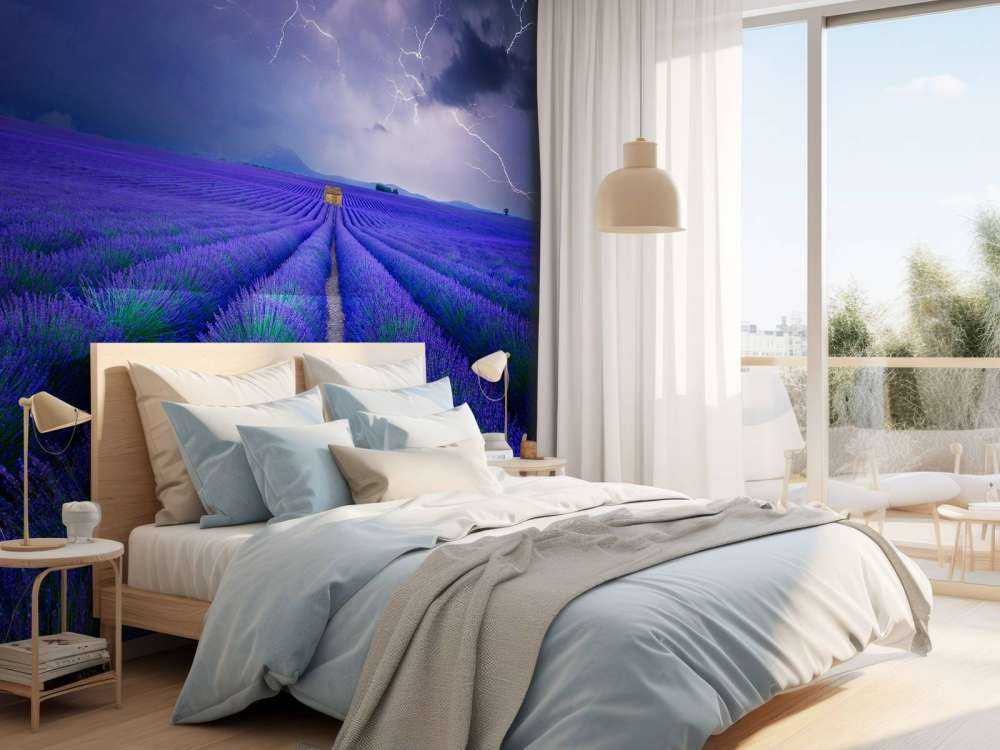 Wetter im Lavendelfeld