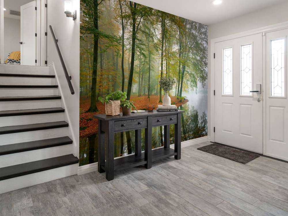 Odbicie drzew w stawie