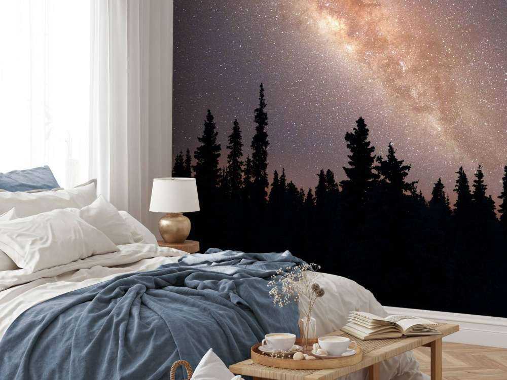Droga Mleczna nad sylwetką drzew