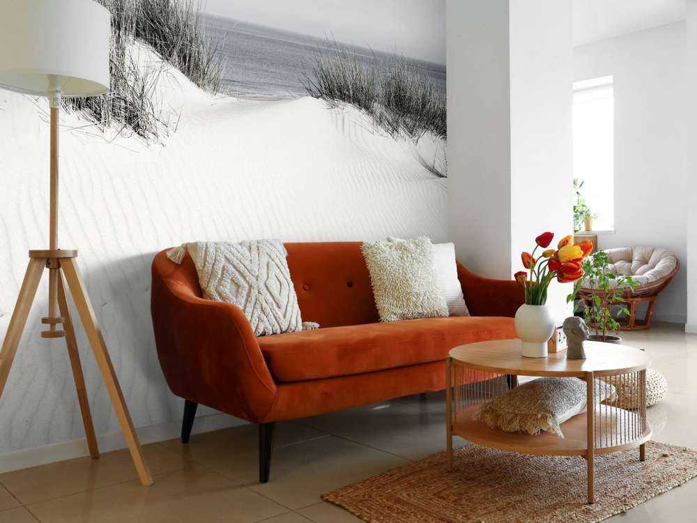 Przejście z wydmy na plażę czarno-białe