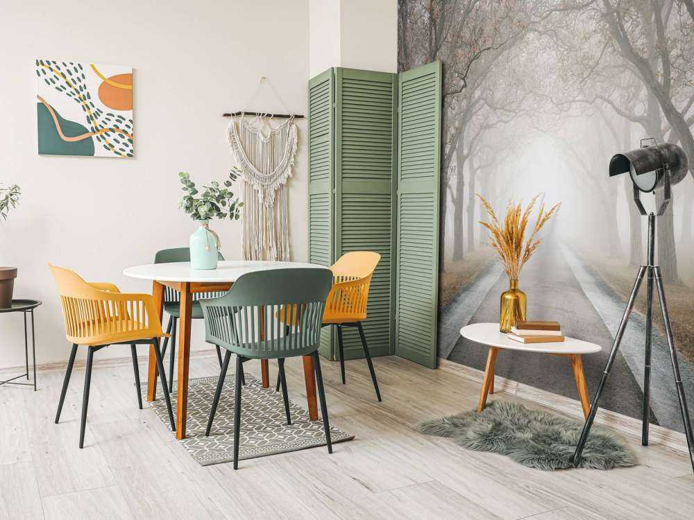 Droga ze starymi drzewami