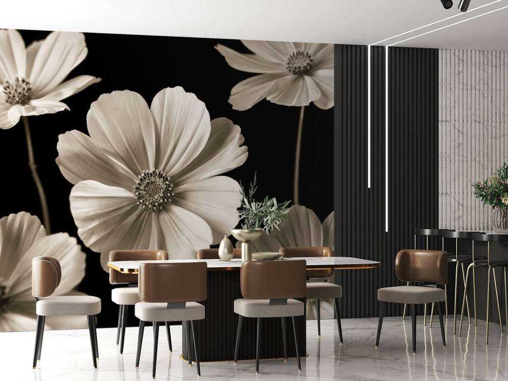 Kilka kwiatów Cosmos