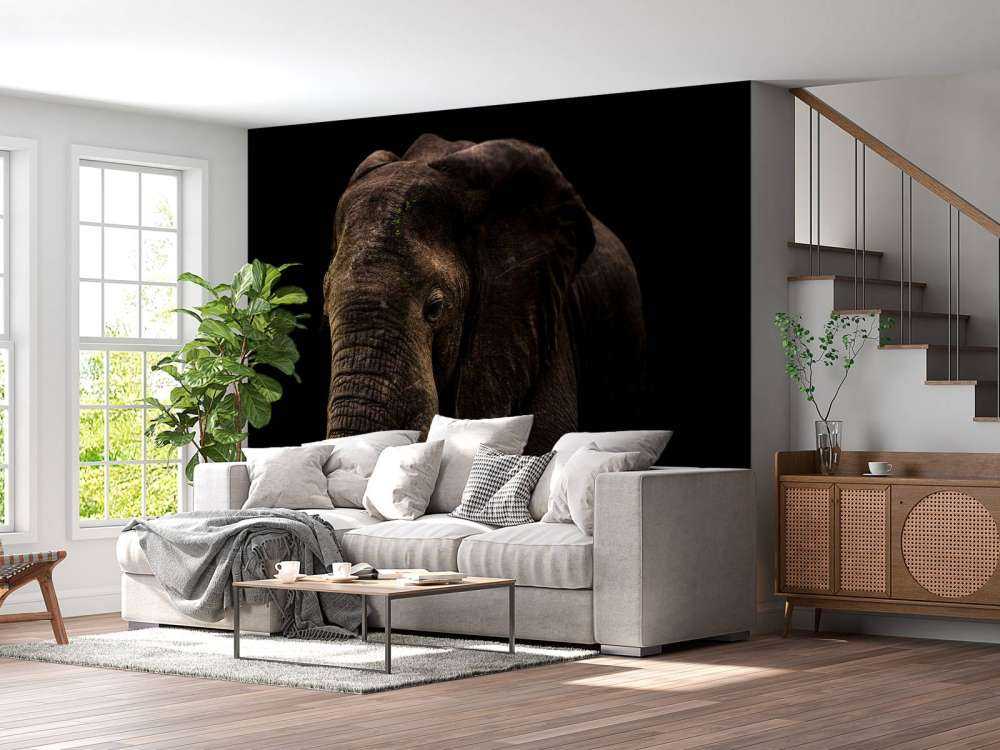 Elephant With Hummingbirds