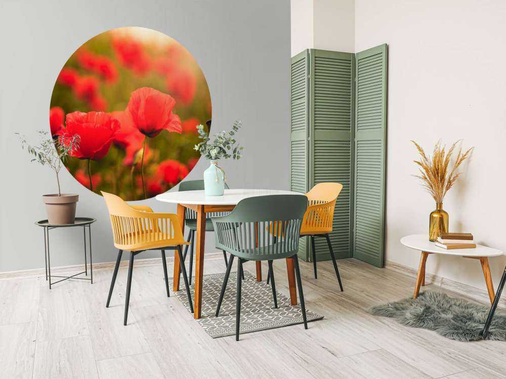 Maki o wschodzie słońca