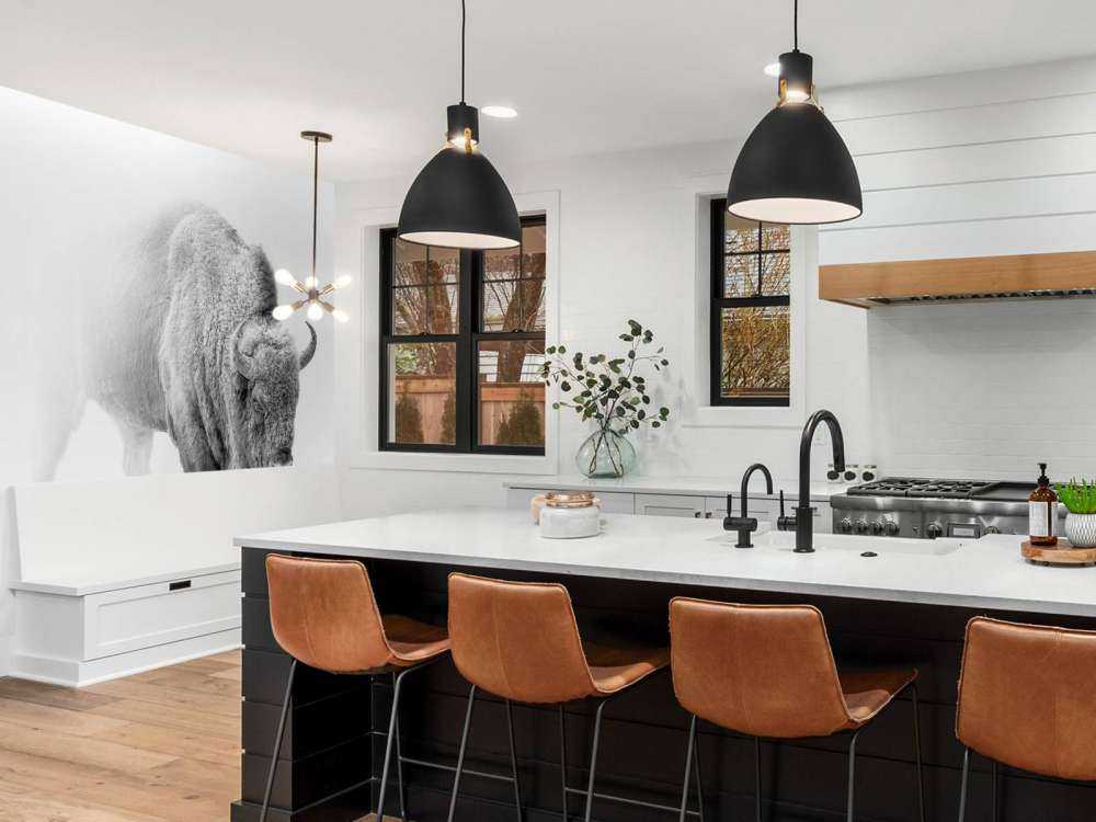 Żubr czarny i biały