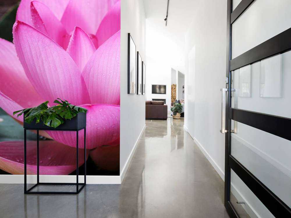 Zbliżenie różowy lotos