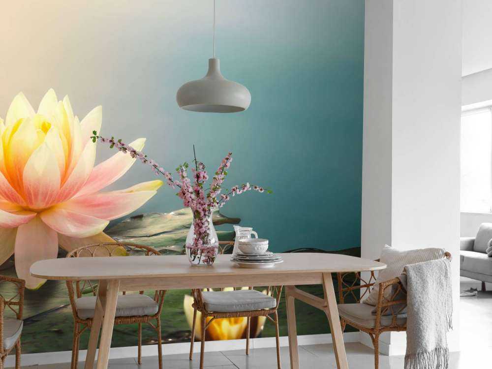 Staw z kwiatami lotosu