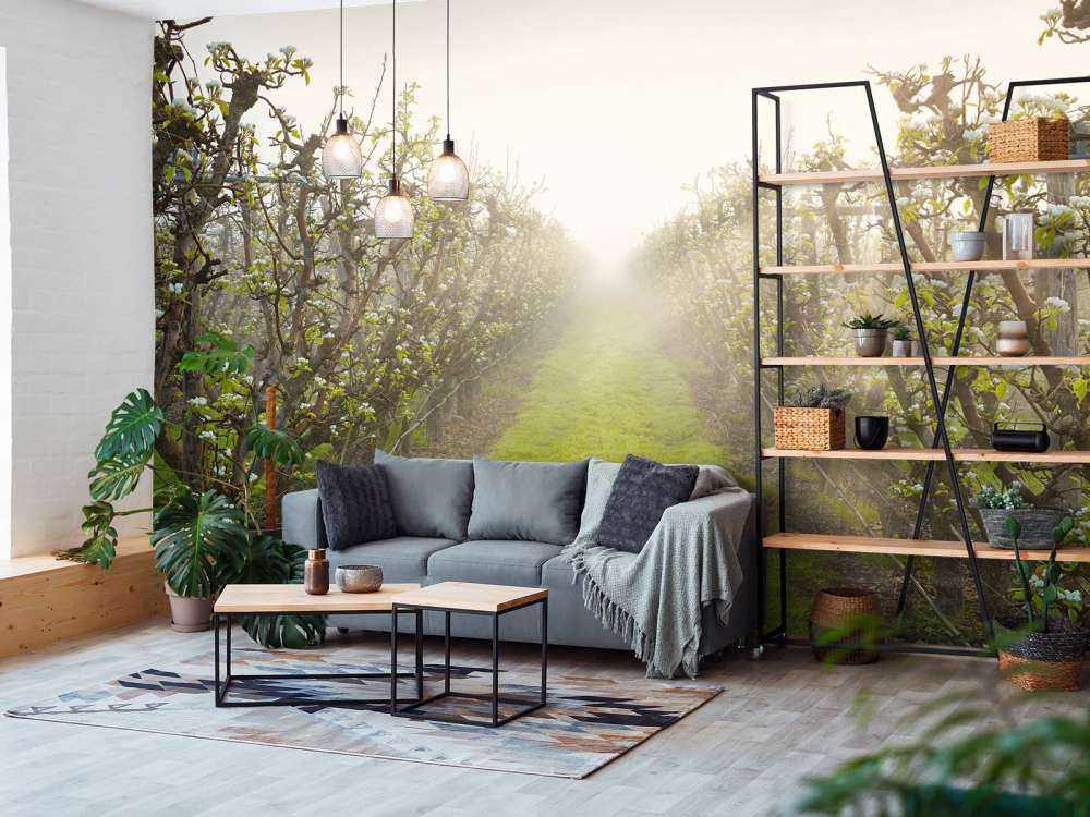 Kwiat gruszy we mgle