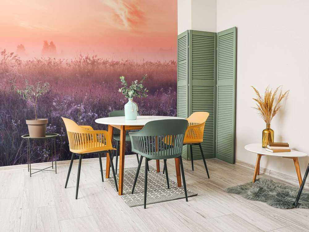 Pole z poranną mgłą