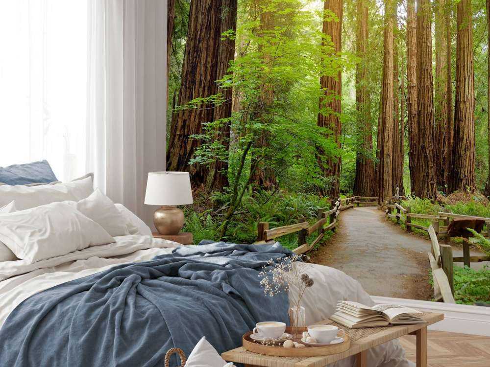 Wysokie drzewa w parku