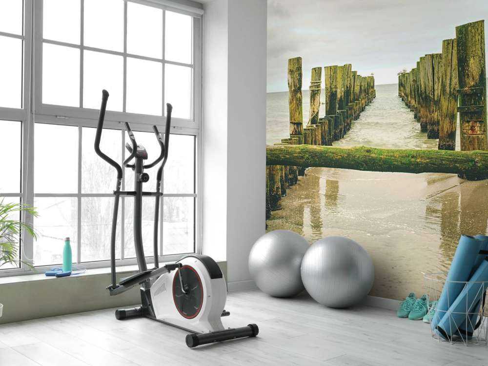 Mossy pile heads in the water