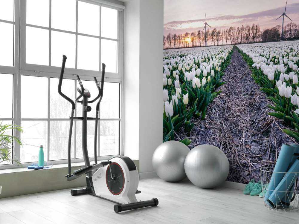 Pole tulipanów białych