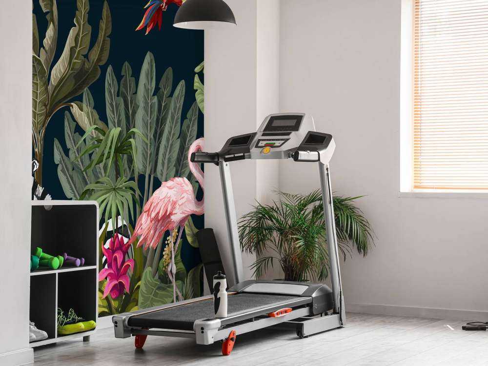 Kolorowe zwierzęta z dżungli