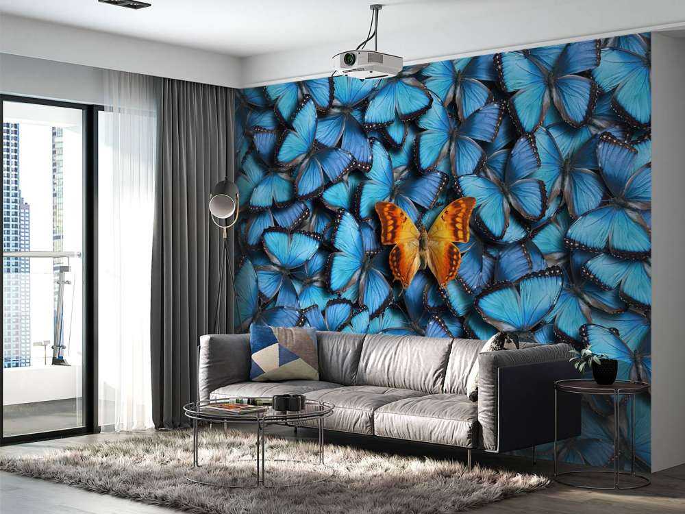 Kompozycja motylkowa