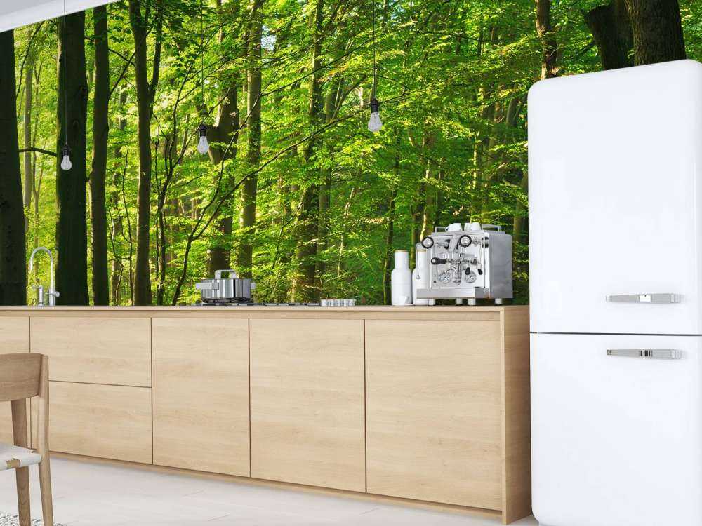 Słoneczna droga przez las