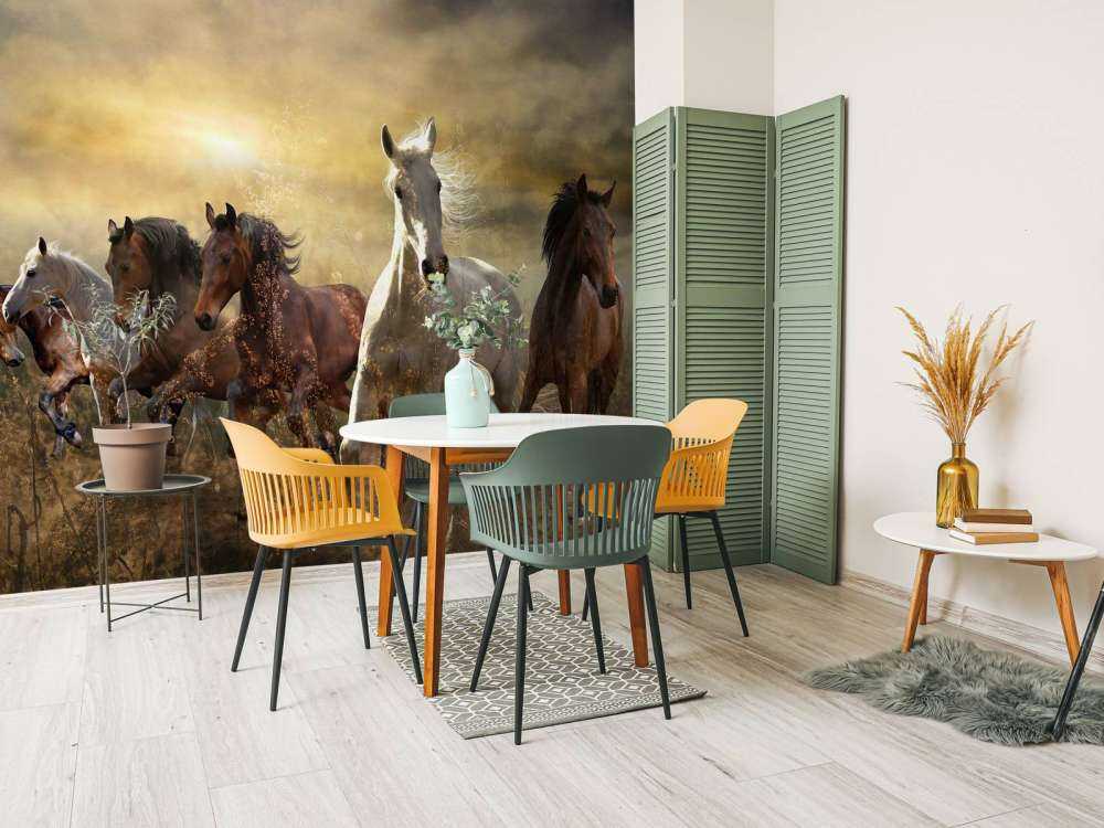 Konie galopujące o zachodzie słońca