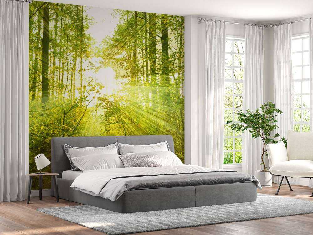 Słońce w zielonym lesie