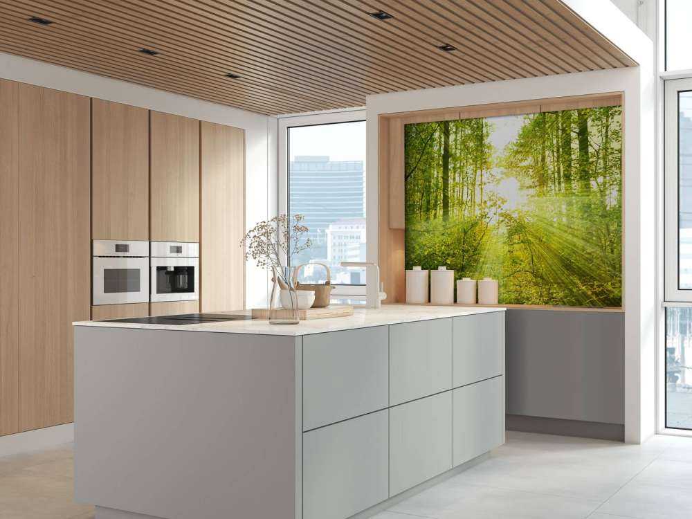 Słońce w zielonym lesie